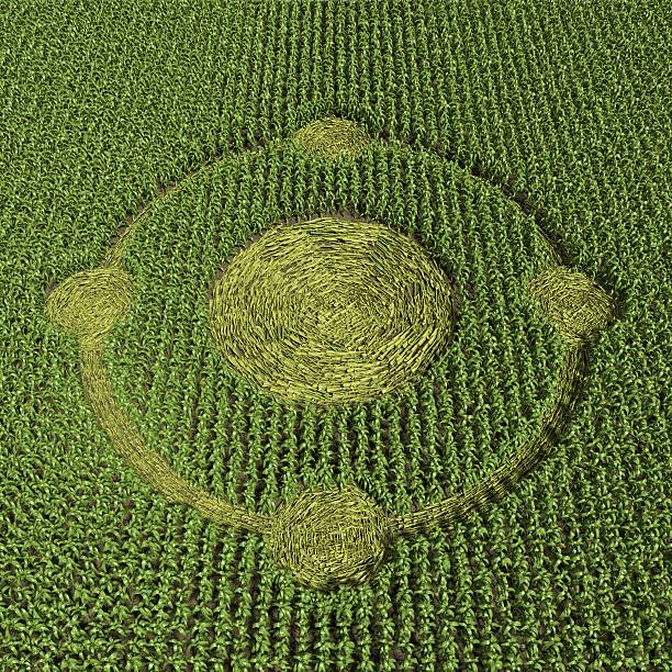 Crop Circle 3d illustration of a crop circle crop circle stock pictures, royalty-free photos & images