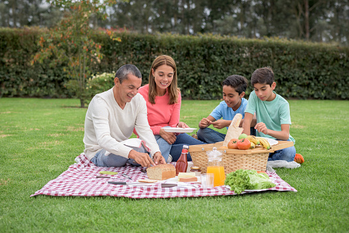 Happy family having a picnic at the park on a beautiful summer day