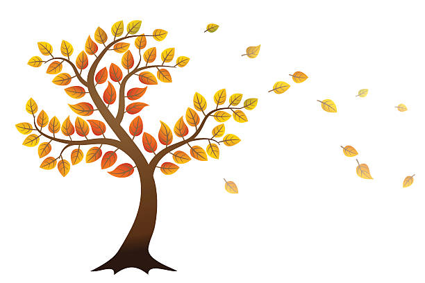 Autumn tree Autumn tree with falling leaves on white background wind silhouettes stock illustrations
