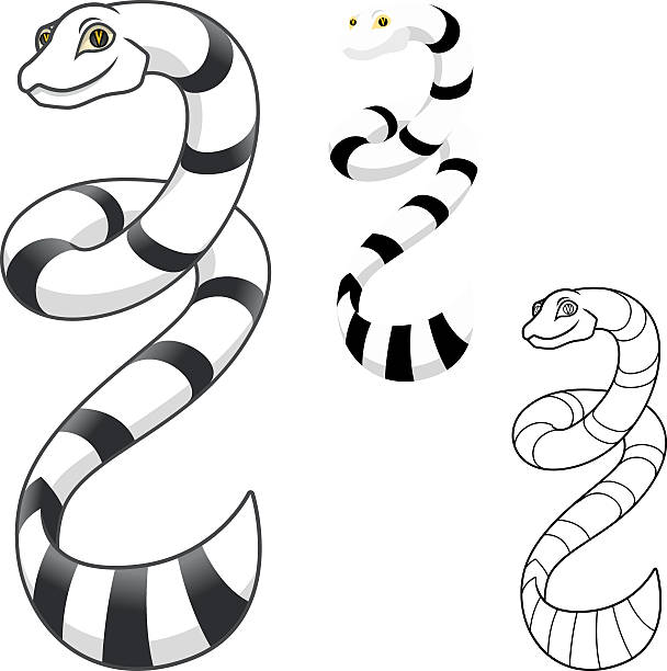 High Quality Sea Snake Cartoon Character Stock Illustration - Download  Image Now - Snake, Black And White, 2015 - iStock