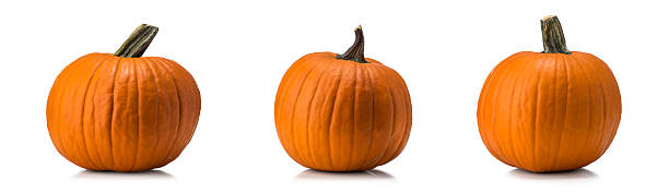 istock Assortment of Pumpkins 487780084