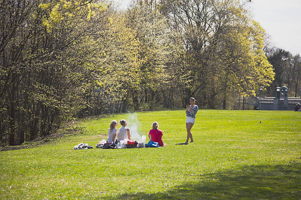Oslo, Norway - April 25, 2014:  Group of four  smiling young women  gathered in Gustav Vigeland Sculpture park for barbecue in spring. 