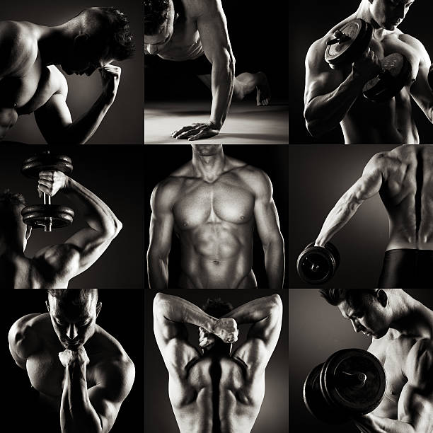 construtor do corpo - body building determination deltoid wellbeing imagens e fotografias de stock