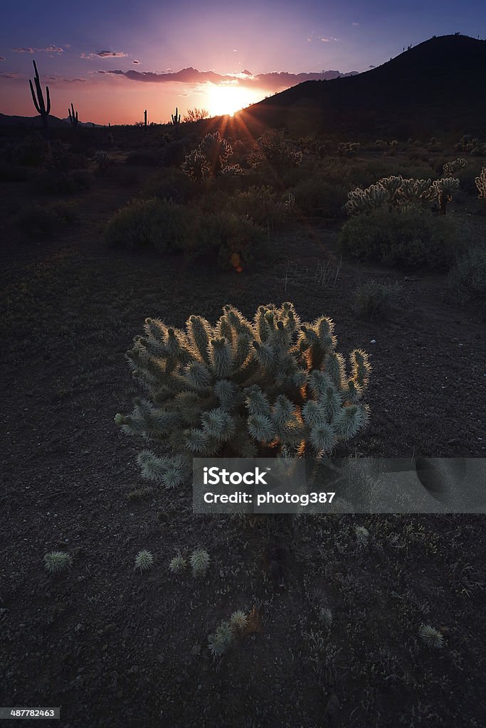 Paesaggio del deserto del sud-ovest - Foto stock royalty-free di Ambientazione esterna