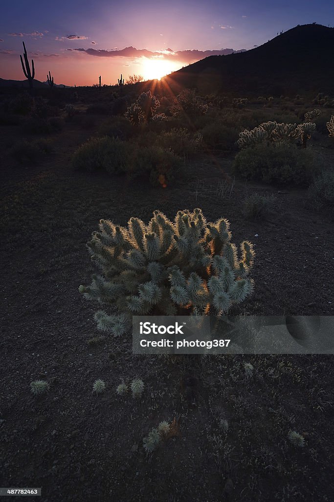 Paisagem do deserto do sudoeste - Foto de stock de Arizona royalty-free