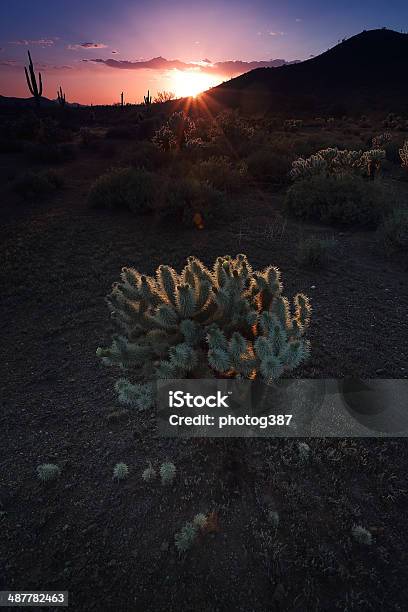 Foto de Paisagem Do Deserto Do Sudoeste e mais fotos de stock de Arizona - Arizona, Artemísia, As Américas