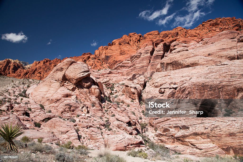 Red Rock Canyon - Zbiór zdjęć royalty-free (Bez ludzi)