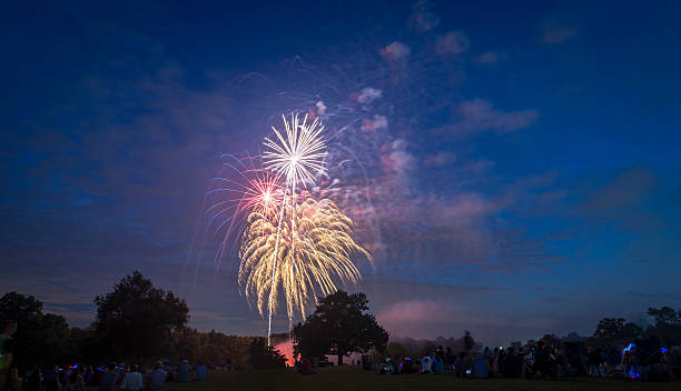 istock People looking at fireworks in honor of Independence Day 487783604
