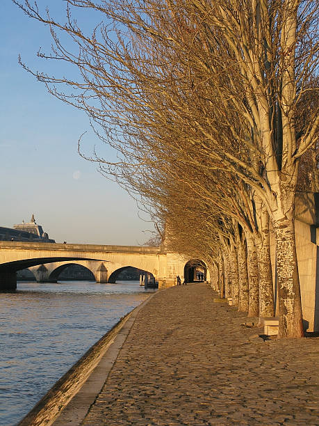 istock Quay and trees in morning light 487783636