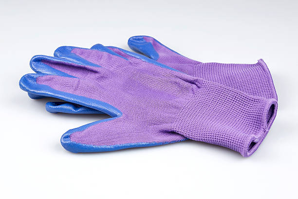 istock Women's gardening gloves on a white background 487785725