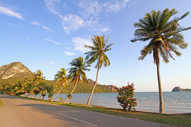istock beautiful tropical beach with coconut palm trees 487786209