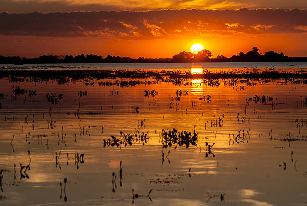 Sunset over Pantanal wetland, Brazil