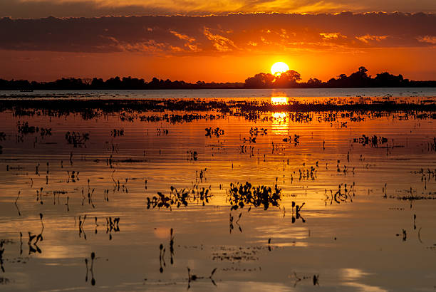 Sunset over Pantanal wetland, Brazil Sunset over Pantanal wetland, Brazil, lanscape format pantanal wetlands stock pictures, royalty-free photos & images