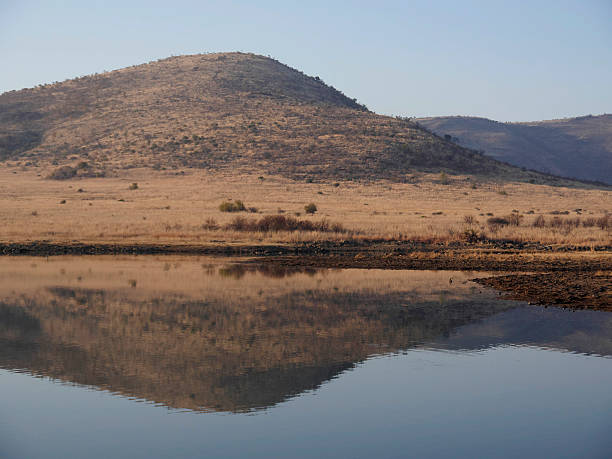 istock Pilanesburg National Park 487787126