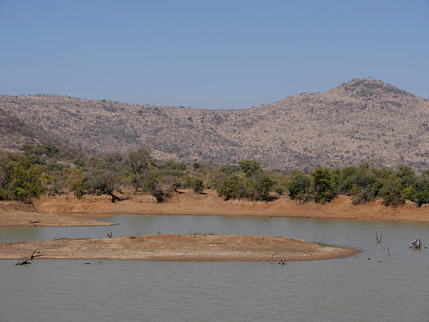 istock Pilanesburg National Park 487787130