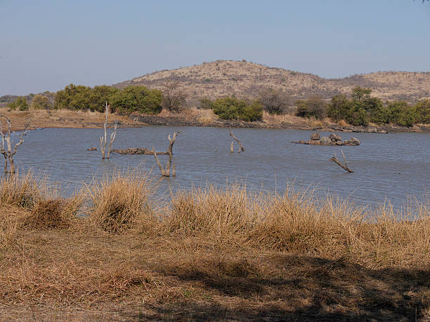 istock Pilanesburg National Park 487787134