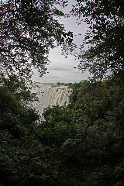 istock Zambia: Victoria Falls or Mosi-oa-Tunya 487787139