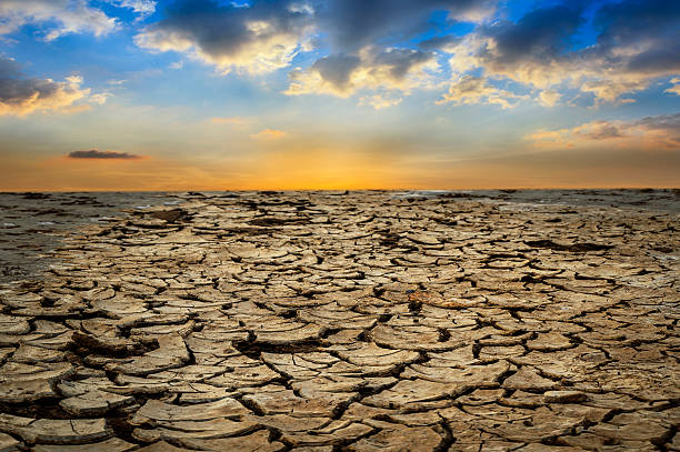 istock dry and cracked land from natural disaster scene 487787476