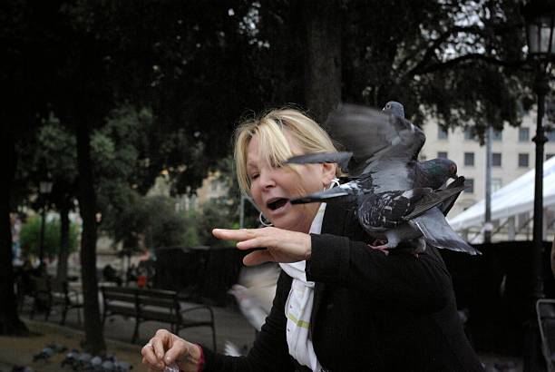 Pigeons swarming woman 