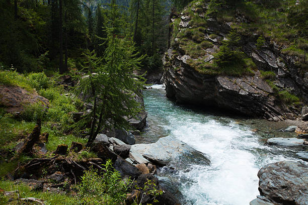 istock Blue water in stream Valleile , Graian Alps, Gran Paradiso, Italy 487792222