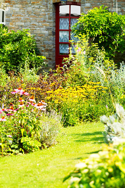 istock Summer flowers in german garden 487795004