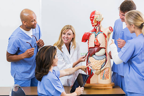 istock Instructor and students in medical school anatomy class 487804474