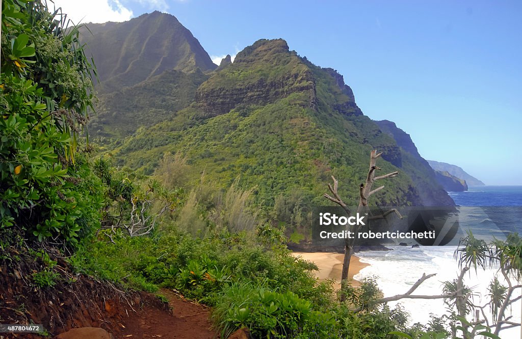 Rugged Coastline and Cliffs of Kauai, Hawaii Rugged Coastline and Cliffs along the Kalalau Trail of Kauai, Hawaii 2015 Stock Photo