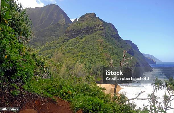 Rugged Coastline And Cliffs Of Kauai Hawaii Stock Photo - Download Image Now - 2015, Adventure, Beach