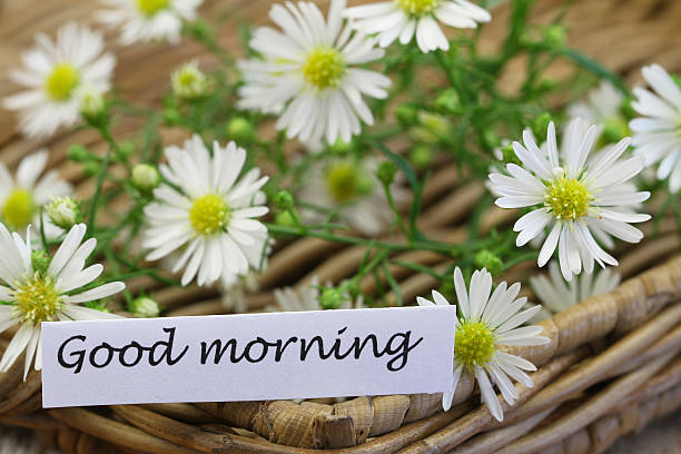 istock Good morning card with chamomile flowers, closeup 487805936