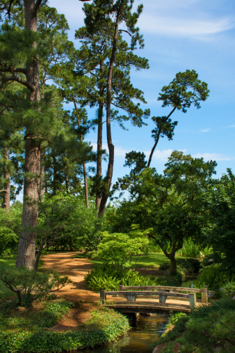 Japanese Garden at Hermann Park in Houston, Texas