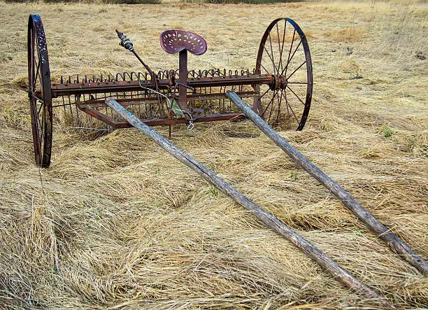 Photo of Horse Drawn Rake