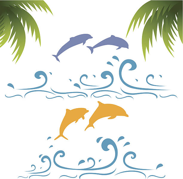 Dolphin in water blue splash vector art illustration