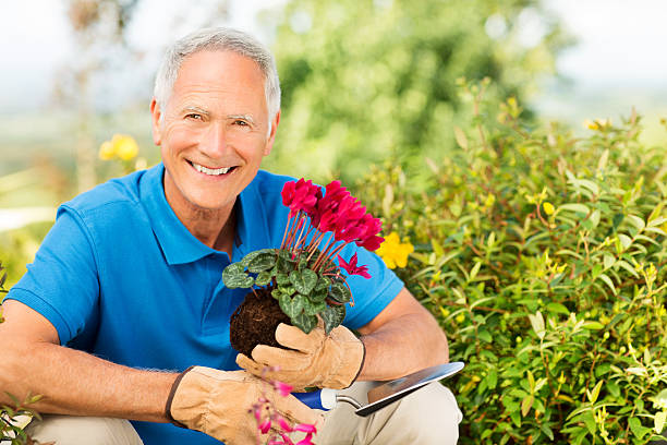 istock Senior Man Holding A Trowel And Sapling In Garden. 487812147