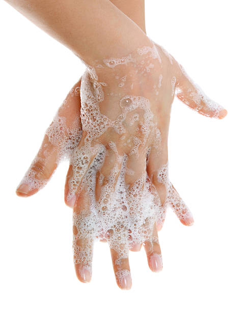 手を洗う - 徹底的に洗う ストックフォトと画像