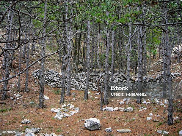 Forest View Stock Photo - Download Image Now - 2015, Adriatic Sea, Balkans