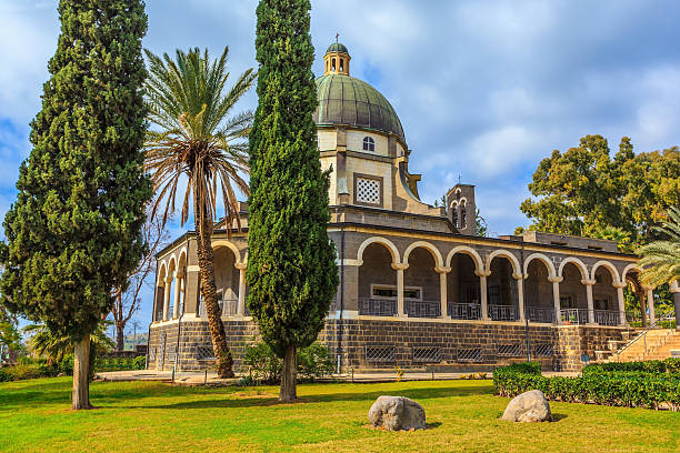istock Beautiful park of cypress 487819488