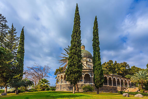 istock Beautiful park of cypress 487821540