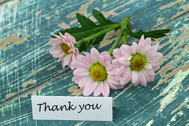 istock Thank you card with pink daisies on rustic wooden surface 487823616