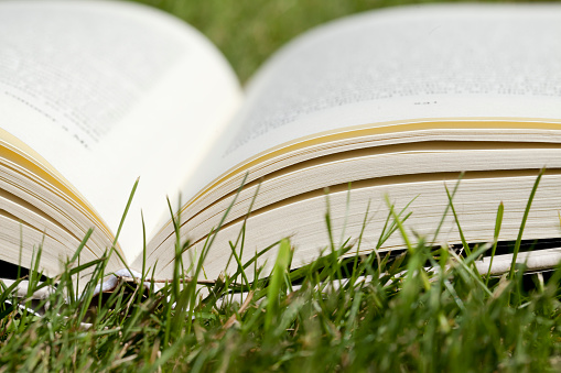 Close up image of open book on green grass in the sunlight. Horizontal view with selective focus on the foreground.