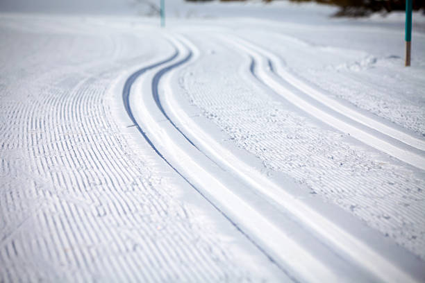 Cross Country Ski Tracks in Engadin Cross Country Ski Tracks in Engadin, Switzerland engadine stock pictures, royalty-free photos & images