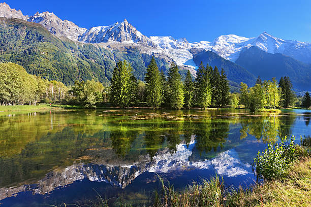 istock City park in the Chamonix 487826893