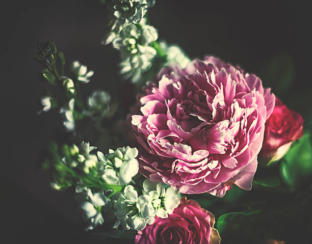 istock Bouquet with common peony [Paeonia officinalis] 487826904