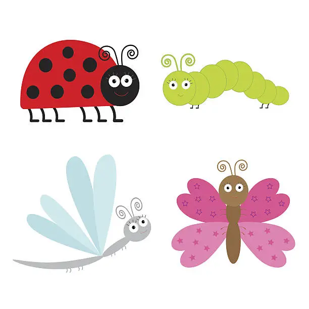 Vector illustration of Cute cartoon insect set. Ladybug, dragonfly, butterfly and cater