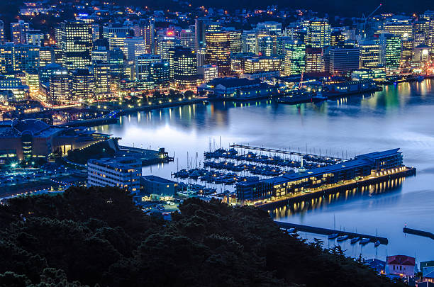 wellington harbor - wellington new zealand zdjęcia i obrazy z banku zdjęć