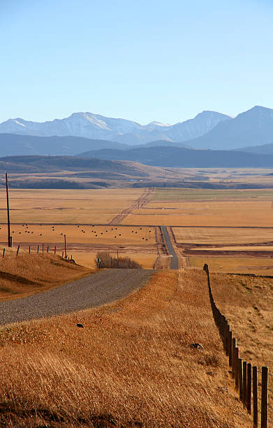 istock Road Along the Fence 487831079