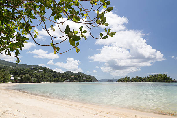 istock On the island of Mahe 487831686