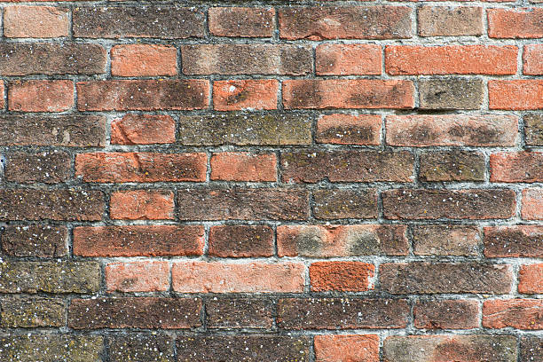 istock Texture of old brick wall in a background image 487831882