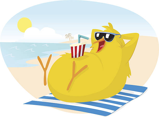 Chick on a beach Funny chick relaxing with a drink on a tropical sunny beach. feet up stock illustrations