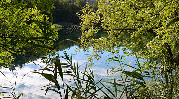 istock national park plitvice croatia 487834260