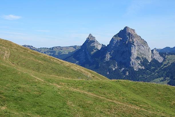 istock Green meadow and Mt Mythen 487834656